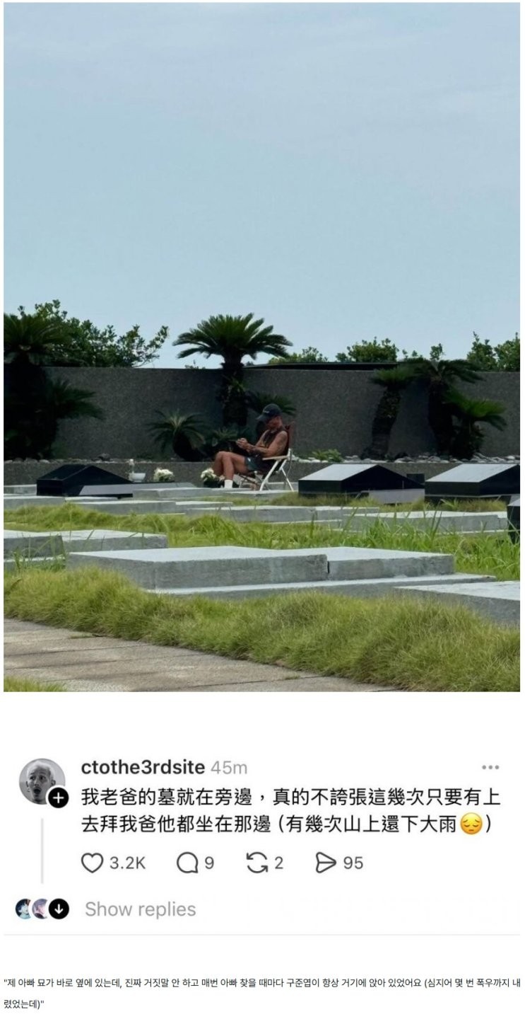 17536644481426.jpg