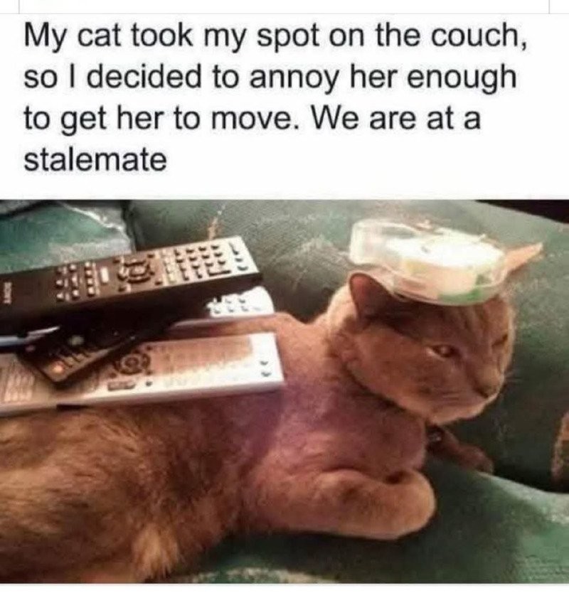 17537940388942.jpg