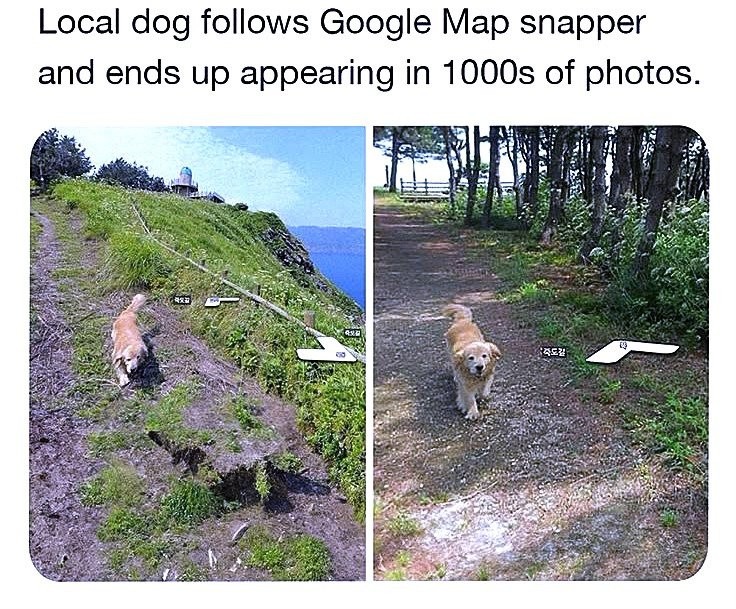 17538804720535.jpg