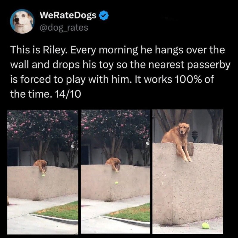 17539236588607.jpg