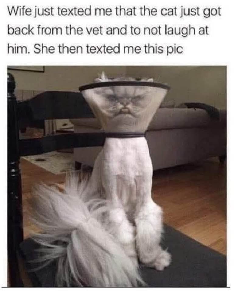 17539668389835.jpg