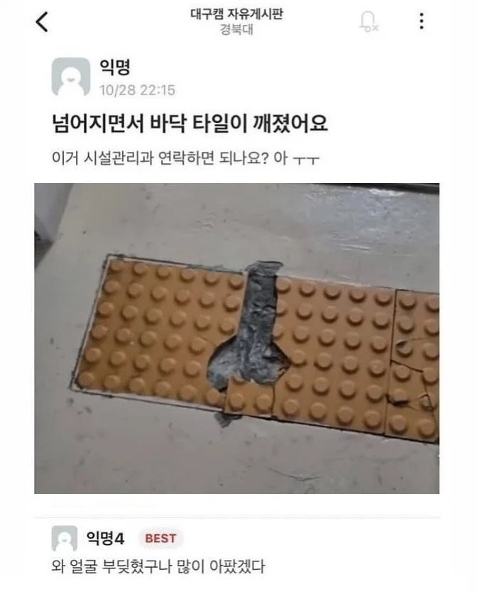 1754226048211.jpg