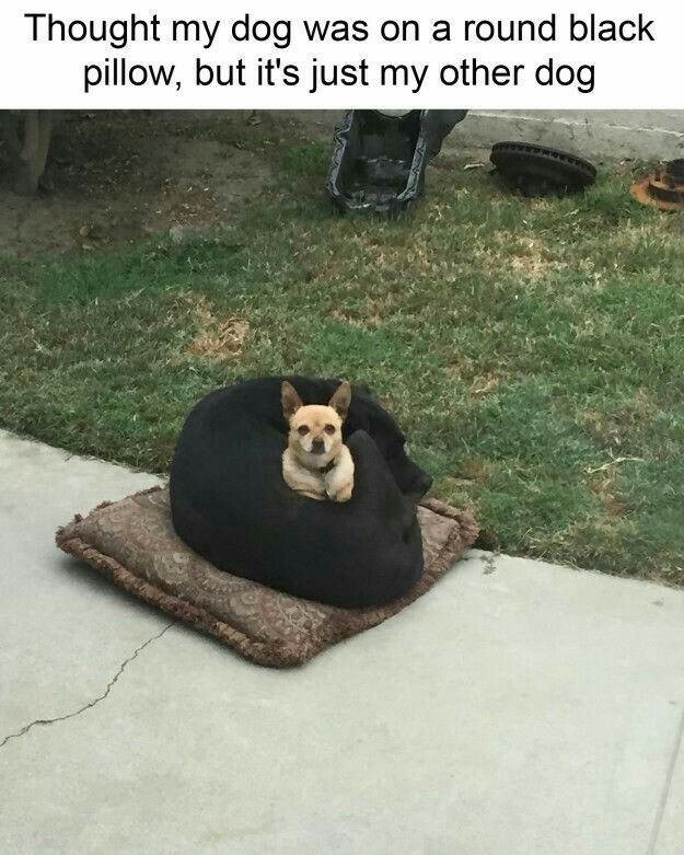 17542260776209.jpg