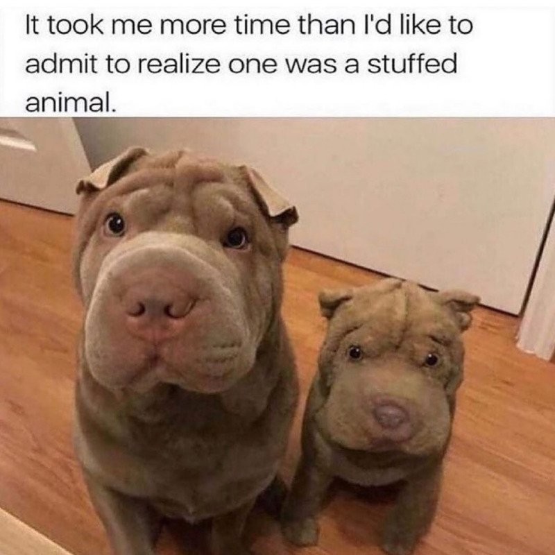 17543556320553.jpg