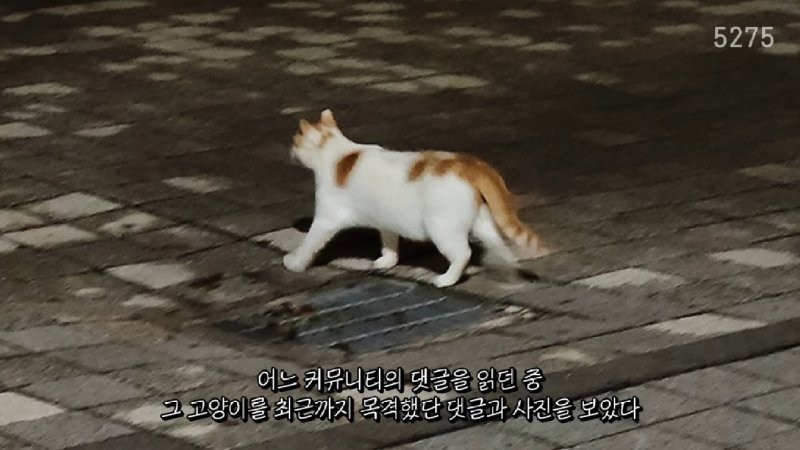 17545284615506.png