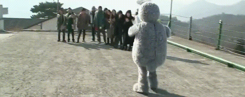 17547012288656.gif