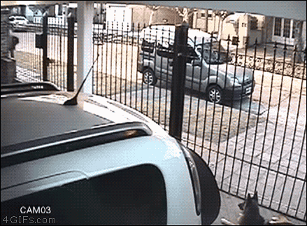 17547444340337.gif