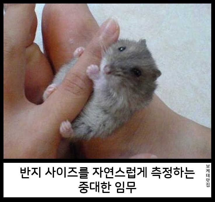 17550468415261.png