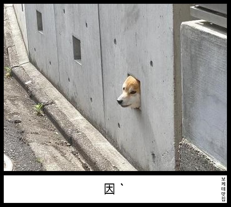 17550468427186.png
