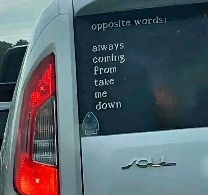 17550900851888.jpg