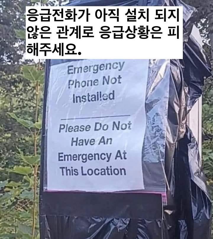 17554788333742.jpg