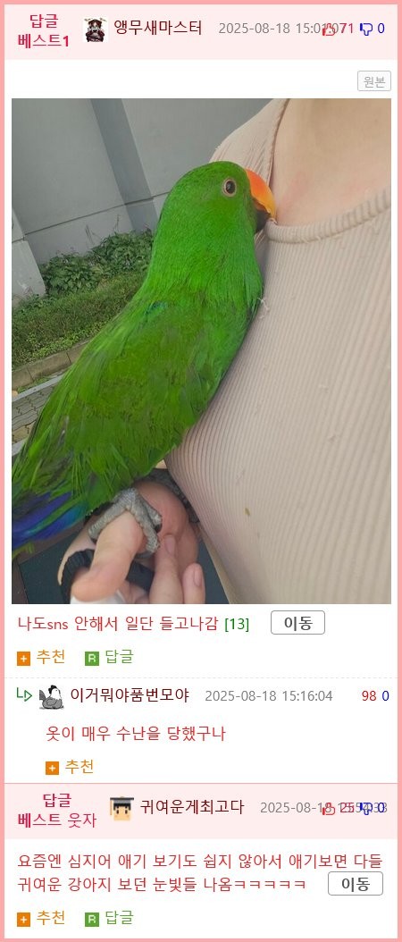 17555220455614.png