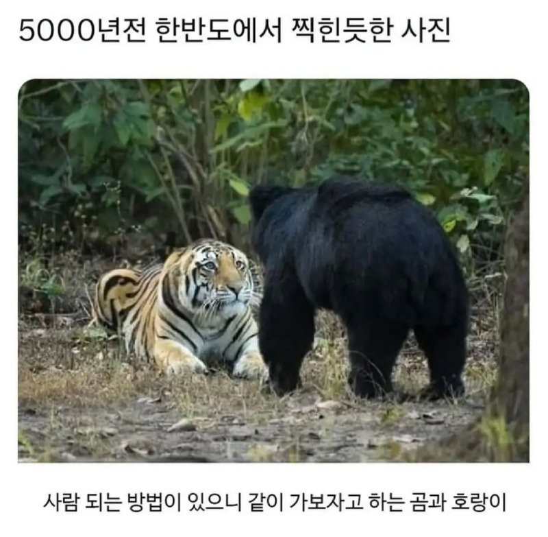 17555220732762.jpg