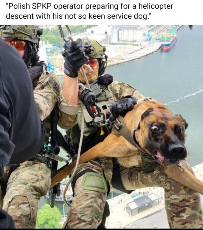 17555652355409.jpg