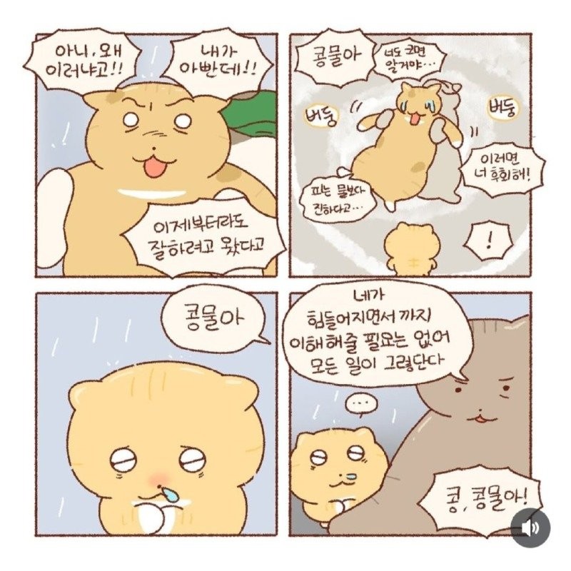17571204578966.jpg