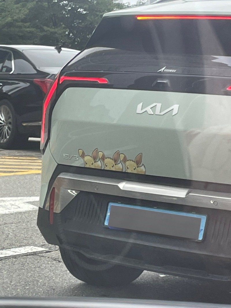 17573364697052.jpg