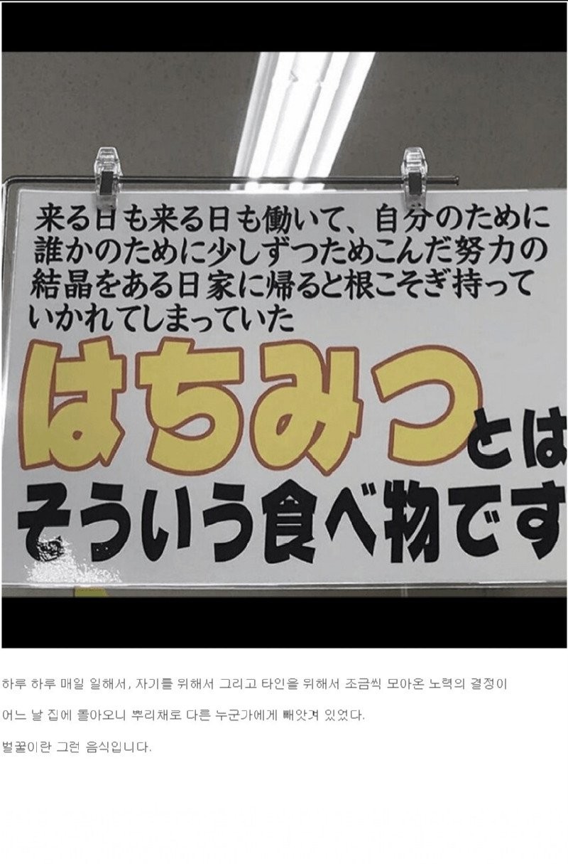 17573904327552.jpg