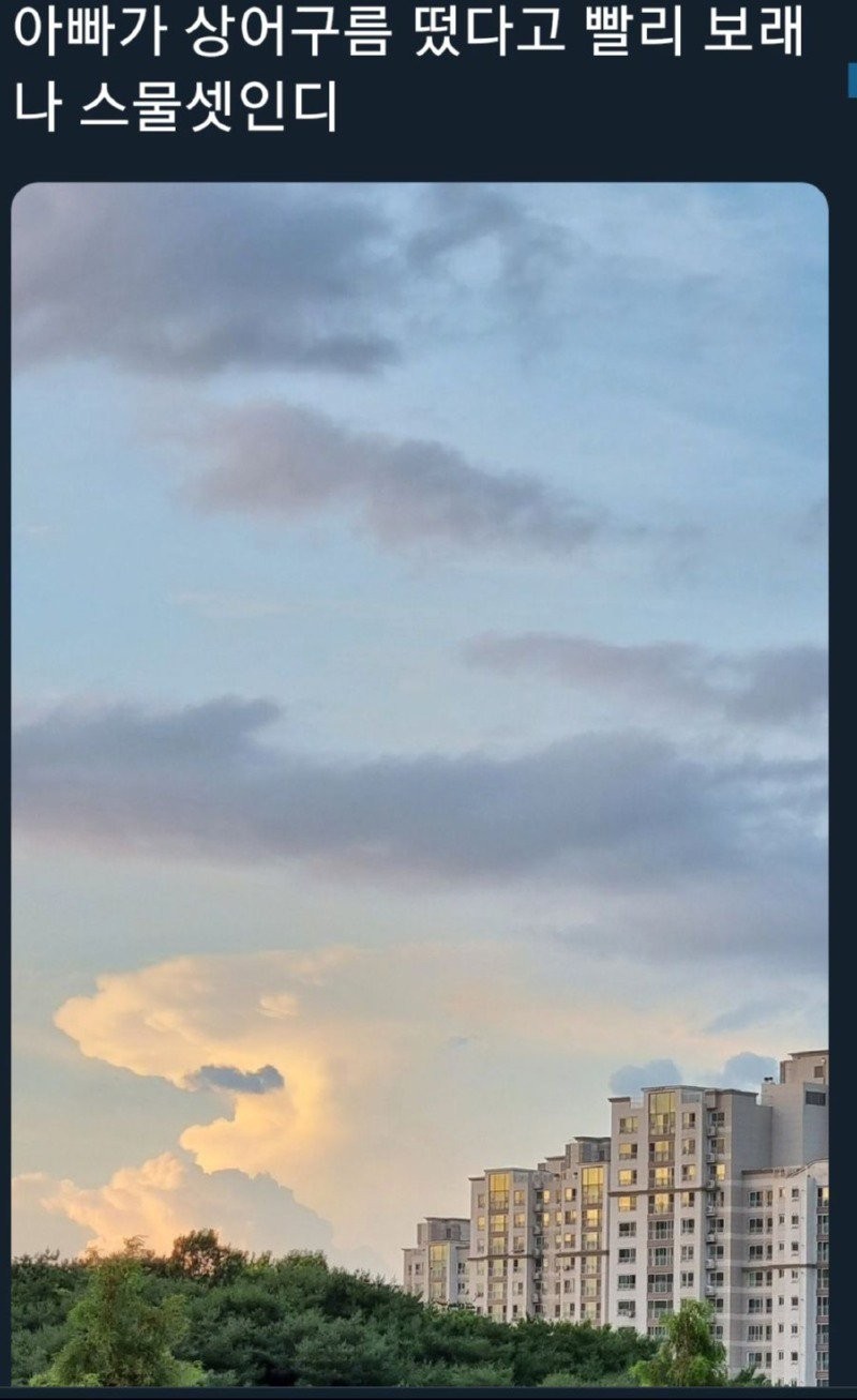 17575956495448.jpg