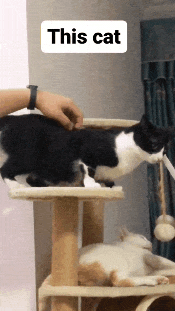 17576820295844.gif