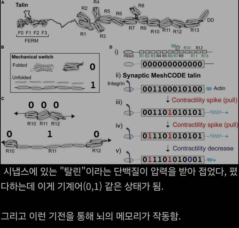 17577252442966.jpg