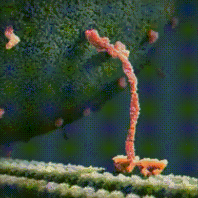 1757725245053.gif
