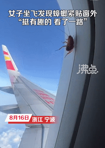 17577684670141.gif