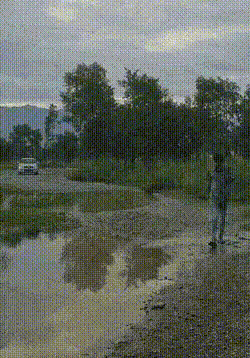 17578116280742.gif