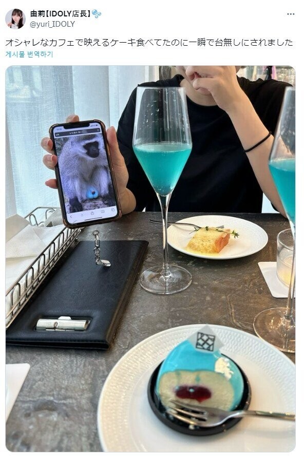 17579844536249.jpg