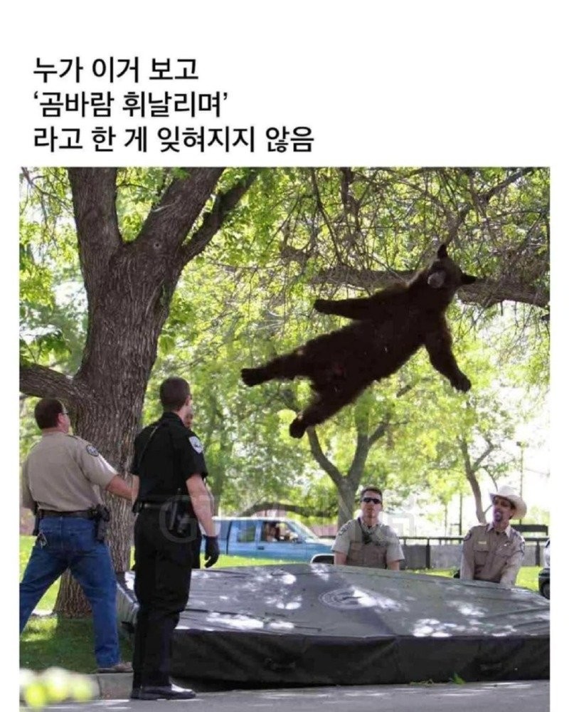 17583732468531.jpg