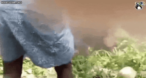1758416418932.gif