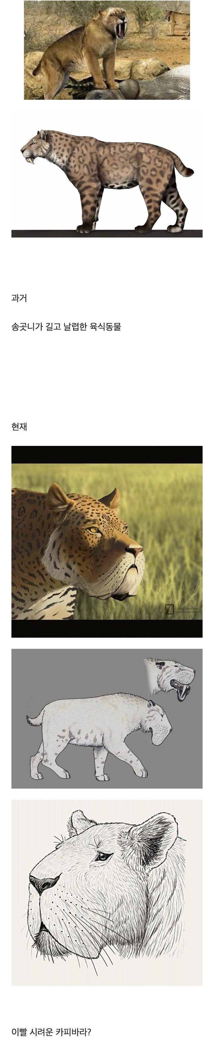 17584164275527.jpg