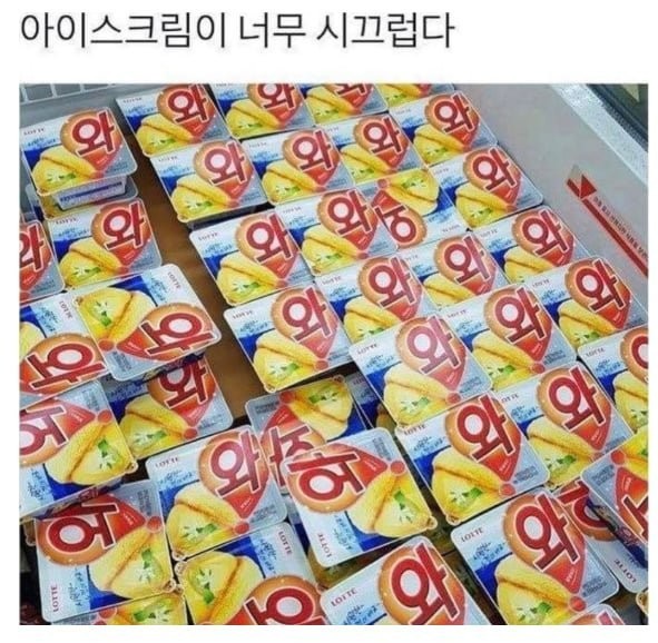 1758546037722.png