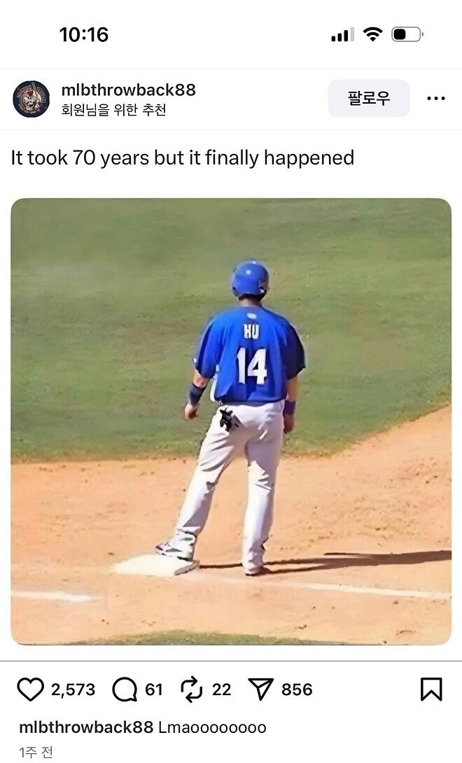 17586756237677.jpg