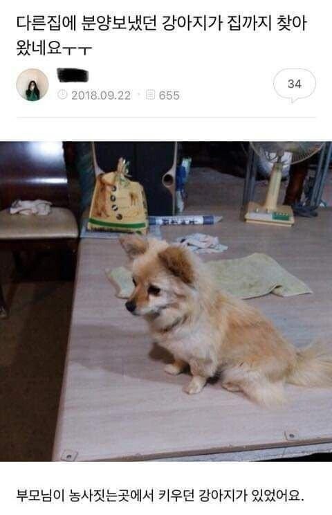 17586756416257.jpg