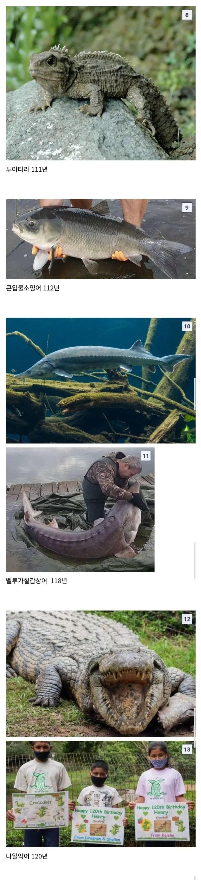 17589348485393.jpg
