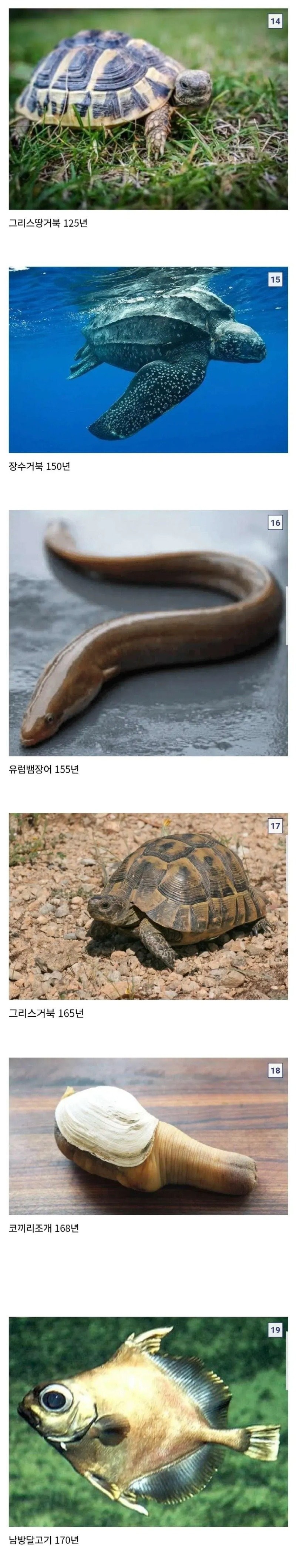 17589348492071.jpg
