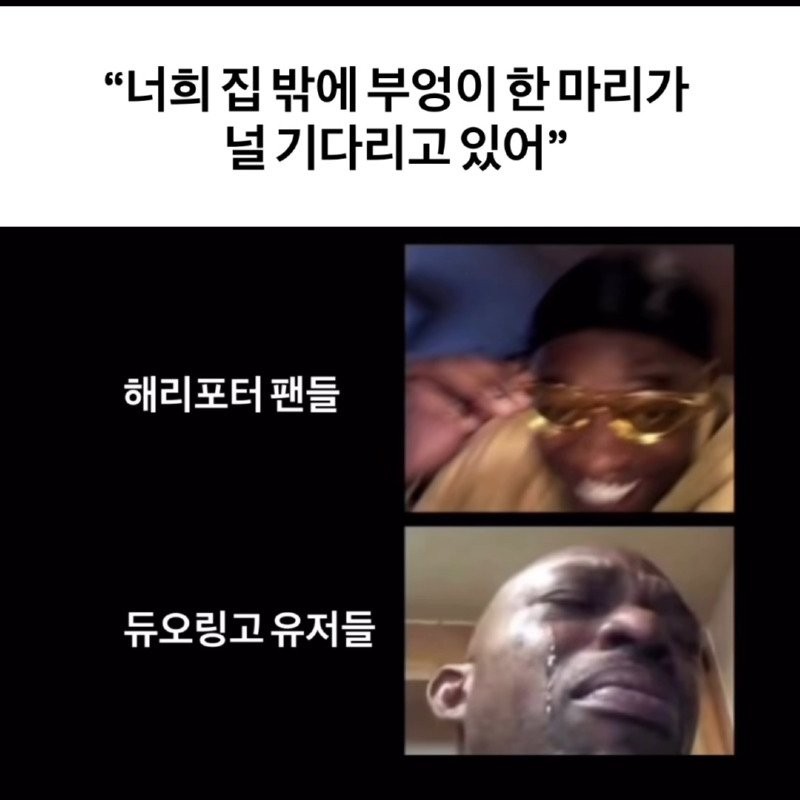 17590644238507.jpg