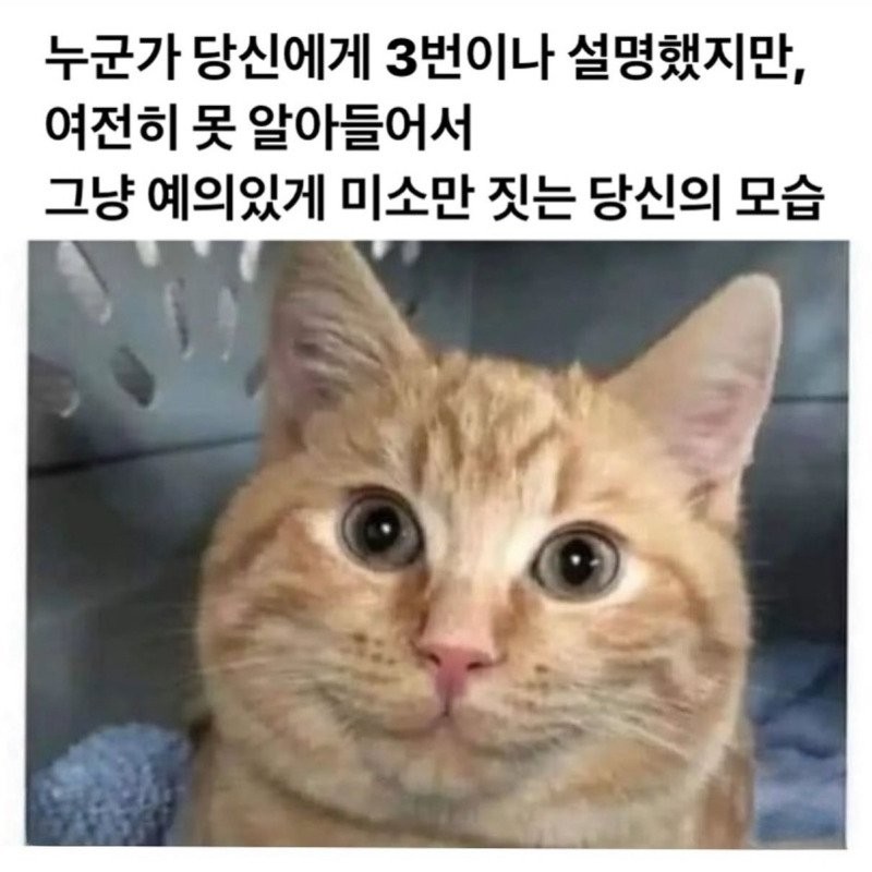 17590644255262.jpg