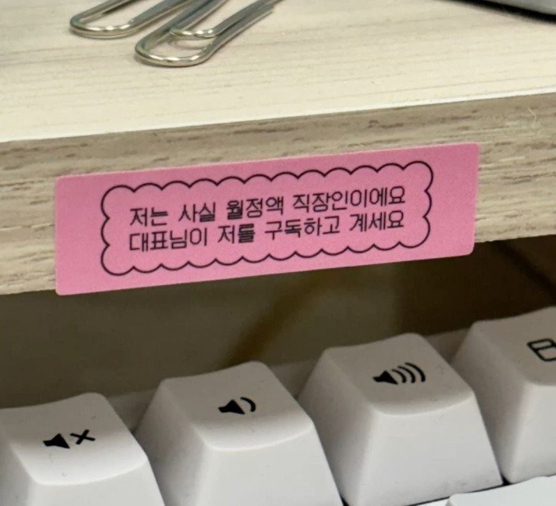 17590644289632.jpg