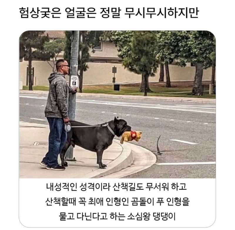 17590644323972.jpg