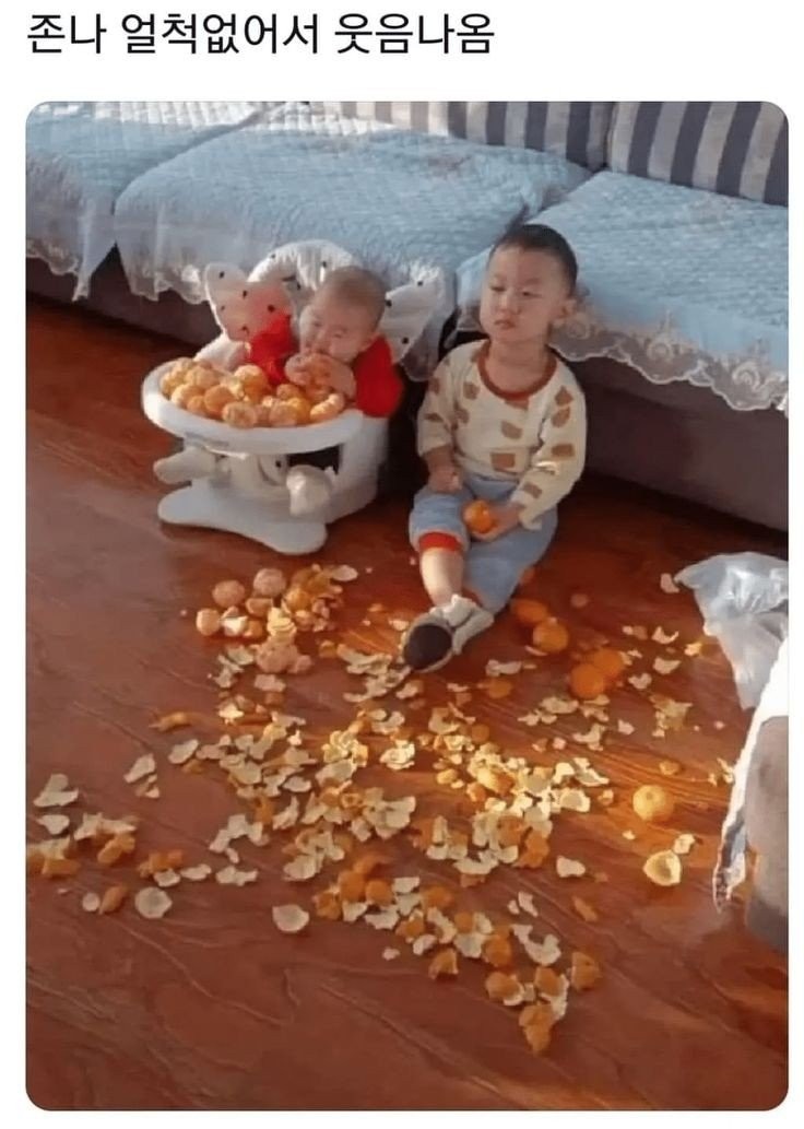 17592912377715.jpg