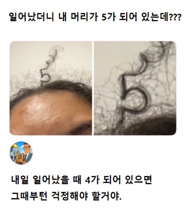 17597556494636.jpg