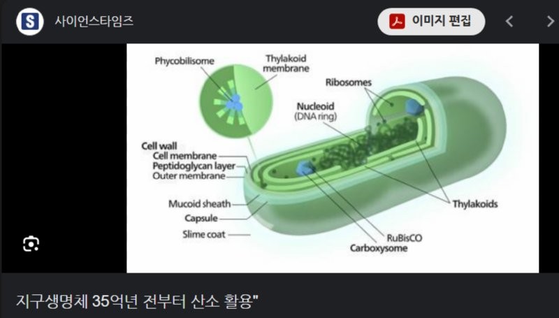 17601444801337.png