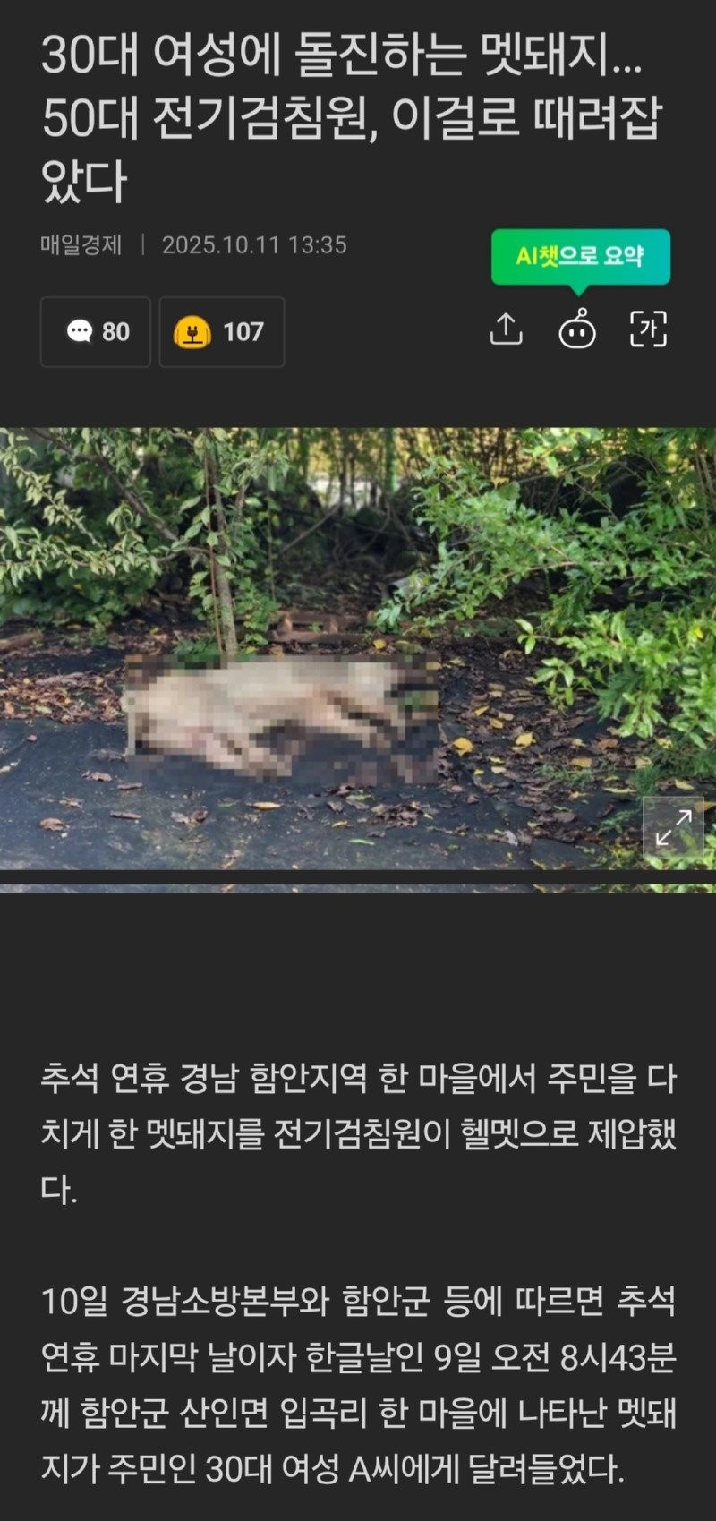 17603172279606.jpg