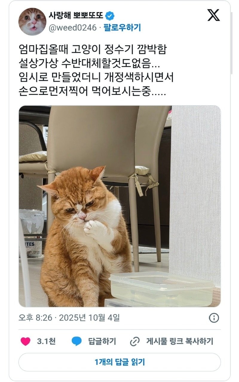17607060700471.jpg