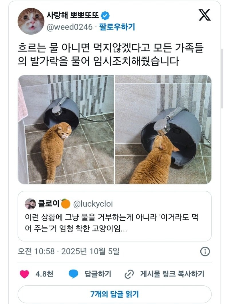 17607060704192.jpg