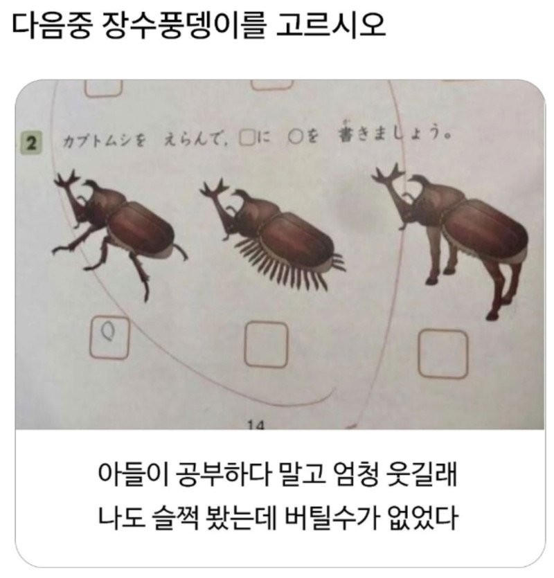 17609220778923.jpg