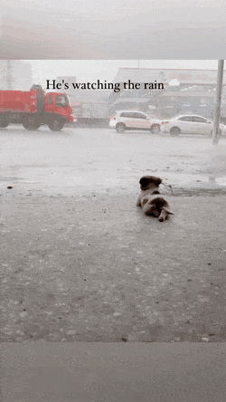 1761051649676.gif