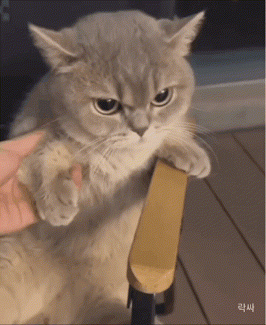 17610948178281.gif