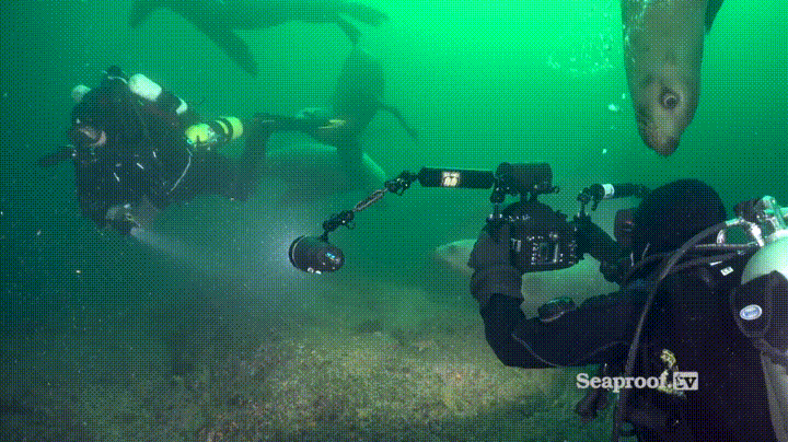 17778996700677.gif